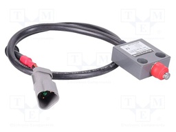 Limit switch