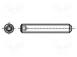 Screw; M3x4; DIN: 916; Head: without head; imbus; steel; HEX 1,5mm