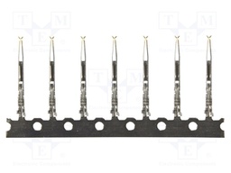 DIN-Signal harbus64,C,F,PL1-5000 reel