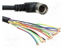 K03001P80M250