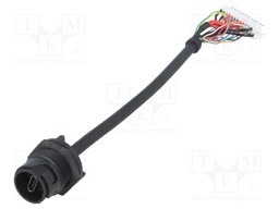 Socket; USB C; USB Buccaneer; for panel mounting,front side nut