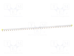 Busbar; Poles: 1; Urated: 415V; 100A; No.of mod: 57; Uinsul: 500V