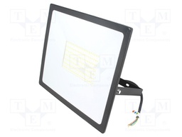 Lamp: LED flood light; 4000(typ)K; IP65; Body: black; 100W; 230VAC
