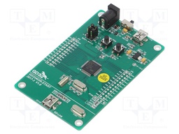 Dev.kit: ARM CORTEX-M4; USB B mini,pin strips; GPIO,SWD,USB