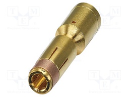 Contact; female; CuZn; gold-plated; crimped