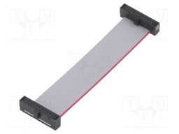 Ribbon cable with IDC connectors; Tape ph: 0.64mm; 63.5mm
