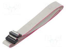 Ribbon cable with IDC connectors; 20x28AWG; Cable ph: 1mm; 0.6m