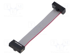 Ribbon cable with IDC connectors; Tape ph: 0.64mm; 50.8mm