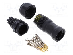 CB-06BMMA-QL8MP0