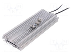 Radiator heater; NIMBUS D175; 100W; IP20; DIN EN50022 35mm; 240V