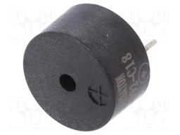 Sound transducer: electromagnetic; with built-in generator