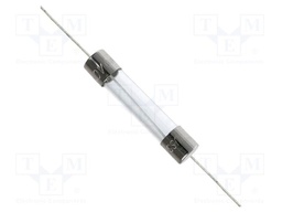 Fuse: fuse; time-lag; 300mA; 250VAC; cylindrical,glass; 6.3x32mm