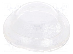 Switch accessories: cover; Body: transparent