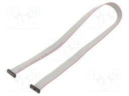 Ribbon cable with IDC connectors; Tape ph: 0.64mm; 469.9mm