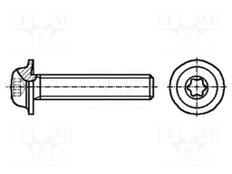 Screw; with flange; M5x12; Head: button; Torx®; A2 stainless steel