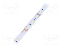 LED tape; white cold; 2835; 12V; LED/m: 60; 10mm; IP64; 12W/m
