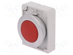 Control lamp; 30mm; RMQ-Titan; -25÷70°C; Illumin: M22-LED; Ø30.5mm