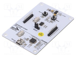 Dev.kit: ARM CORTEX-M23; GD32E230F8P6; USB B mini; GPIO,SWD,USB