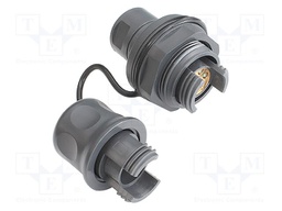 Connector: fiber optic