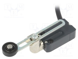 Limit switch; NO + NC; 10A; max.250VAC; max.250VDC; lead 2m; IP67