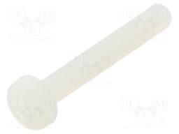 Screw; M3x20; 0.5; Head: cheese head; Pozidriv; 0,8mm; polyamide