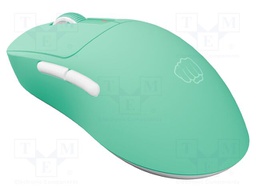 Mouse; TANTO T4; mint; USB A; wireless,optical; PnP,RGB; Len: 1.8m