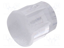Fiber for LED; Ø1.3mm; L: 3.8mm; round; Front: convex; straight