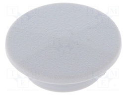 Cap; plastic; push-in; grey; Application: K21