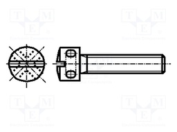 Screw; M4x20; DIN: 404; Head: drilled fillister head,cheese head