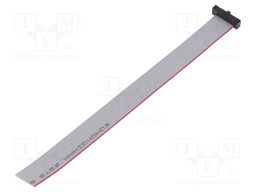 Ribbon cable with IDC connectors; Tape ph: 0.64mm; 152.4mm
