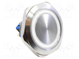 Switch: vandal resistant; DPST-NO + DPST-NC; 2A/48VDC; IP65; 6V