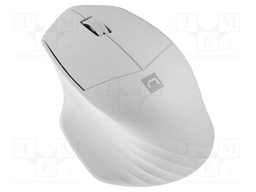 Optical mouse; white; USB A; wireless,Bluetooth 5.0; 10m