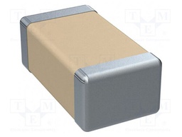 Capacitor: ceramic