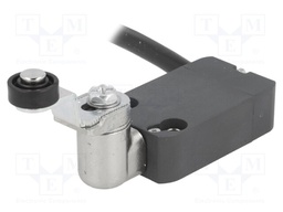 Limit switch; lever R 33mm, plastic roller Ø14mm; NO + NC; IP67