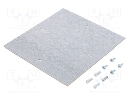 Mounting plate; steel; W: 150mm; H: 2mm; L: 150mm; TK-PC-1818