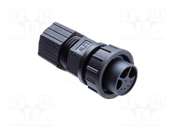 Plug; Connector: circular; size D; male/female; PIN: 8(6+2); IP67