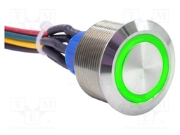 Switch: vandal resistant; DPDT; 3A/250VAC; IP67; ON-ON; green; 24V
