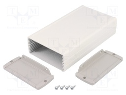 Enclosure: multipurpose; with fixing lugs,with panel; TEKAL