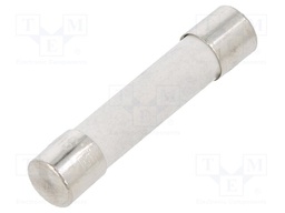 Fuse: fuse; time-lag; 20A; 250VAC; ceramic,cylindrical; bronze