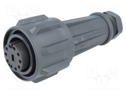 Connector: circular; plug; female; PIN: 10; EXPlora; Contacts: brass