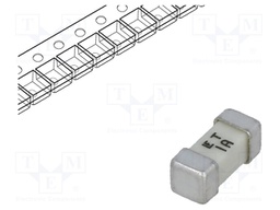 Fuse: fuse; time-lag; 1A; 125V; SMD; ceramic; Case: 2410; 454