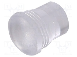 Fiber for LED; Ø5.2mm; L: 5.8mm; round; Front: convex; straight