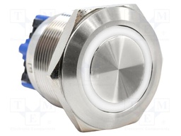 Switch: vandal resistant; DPST-NO + DPST-NC; 2A/48VDC; IP65; 24V