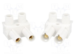 Connector: pluggable terminal block; screw terminal; 2.5÷4mm2