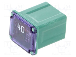 Fuse: fuse; 40A; automotive