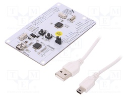 Dev.kit: ARM CORTEX-M23; USB B mini,pin strips; GPIO,SWD,USB