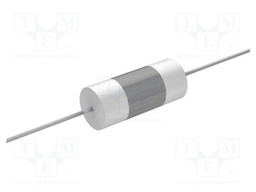 Capacitor: polyester