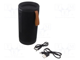 Speaker; black; Jack 3,5mm,microSD,USB C; Bluetooth 5.1; 10m