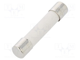 Fuse: fuse; 10A; 250VAC; ceramic,cylindrical; 6,3x32mm