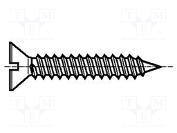Screw; 2,9x19; Head: countersunk; slotted; steel; zinc; Size: 0,8mm